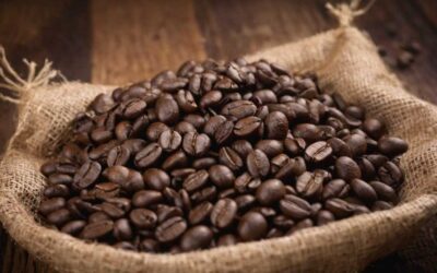 Découvrir les secrets du café en grain artisanal pour une expérience gustative unique